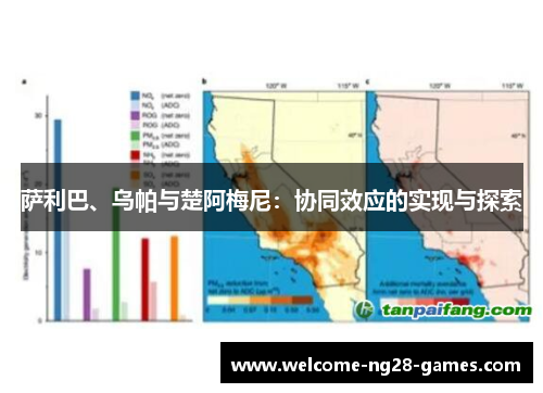 萨利巴、乌帕与楚阿梅尼：协同效应的实现与探索
